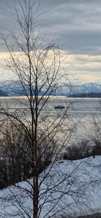 Frydenlund Villa Balestrand Eksteriør bilde